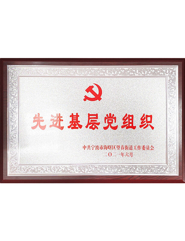 2021年先進(jìn)基層黨組織